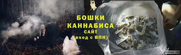 прущие крисы Каменка