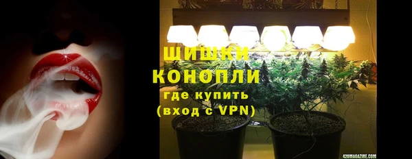 прущие крисы Каменка