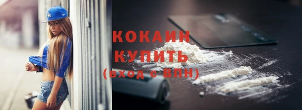 прущие крисы Каменка