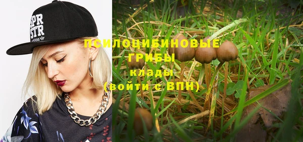 кокс Каменногорск