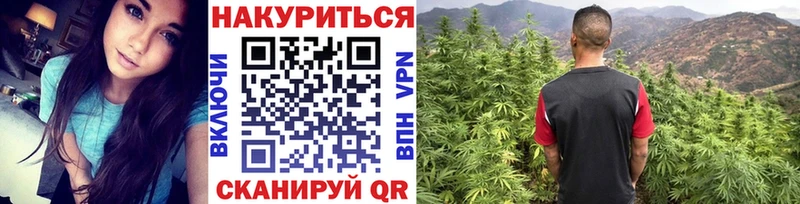 Канабис ГИДРОПОН  Купить  Княгинино 